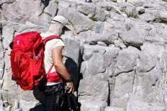 534746630_1387826929734236_862059459130140667_n