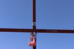 230550729_10158006867306441_6755663819452604606_n