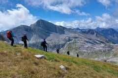 306581288_577959794054291_3255248603498759457_n