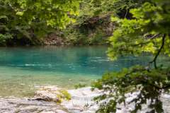 225644772_10157996585446441_2968903451914957104_n