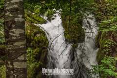 227709404_10157996585501441_6204349199088478177_n