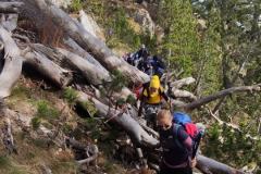 258723006_10158204857241441_8874722841684638613_n