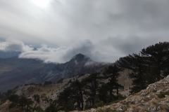 258786914_10158204857146441_4394039800261526248_n