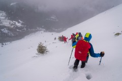 341855805_754254026353753_2299214287770090300_n