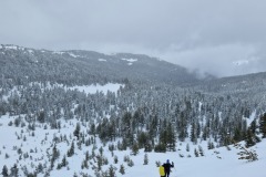 341871812_228075519901606_7273967479993717867_n