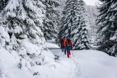 341874507_995612858268500_1238489760358096971_n