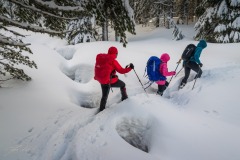 341899478_3426052754337465_8666423480775835990_n