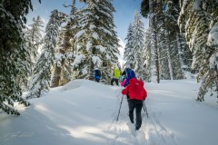 341908491_1182577389805914_7252593009064106647_n