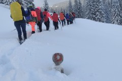 341912841_139124292326797_6611281967478866748_n