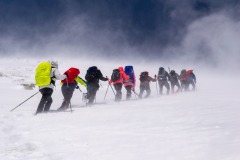 341999806_556668826599467_7949041232159581901_n