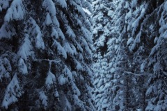 342009947_1621358468354037_2673709296515025135_n