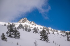 342063904_743239594016705_487441907887445972_n