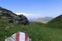 363355569_825302822653319_166390469784957107_n