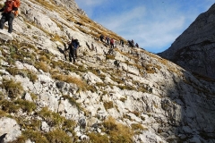 311565894_616589473524656_2388393243493911616_n