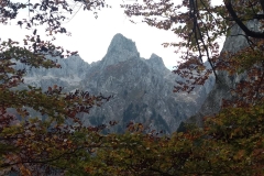 311566684_616589586857978_8881662459960597051_n