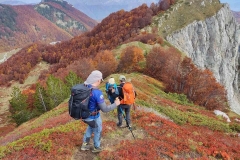 311976852_616589966857940_6069544672117070237_n