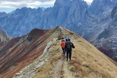 312110042_616590006857936_5152420592710993271_n