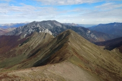 312332676_616589696857967_3343817061727876150_n