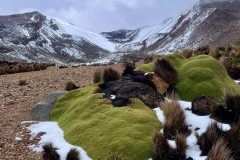 395409714_886065689910365_1379928742005780765_n