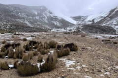 395415000_886066033243664_7319506156546732546_n