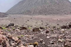 395428250_886066603243607_7028390323810592481_n