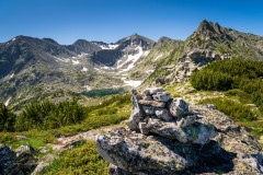 347556988_815858533597748_3211330009619741231_n