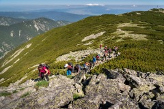 347563894_815855226931412_5139393909194126713_n