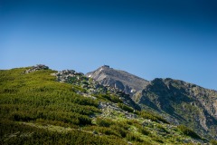 347564592_815858673597734_2430518627351155277_n