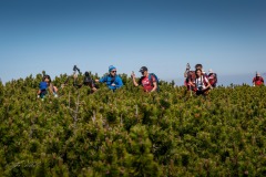 348641198_815854553598146_6372725121657841794_n