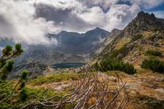 241184706_10158076817876441_7173212861462412961_n