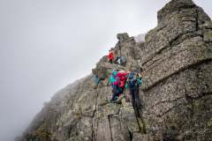 241622186_10158076818126441_7403759417093645926_n