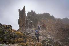 241622537_10158076817821441_4467812864124528404_n