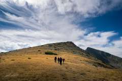 241626556_10158076829536441_7882092377370859189_n