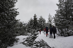 676726213_1606832764500317_8818199657027153602_n