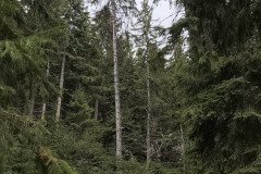 678404306_1606832637833663_6372698336399210555_n