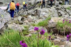 357432051_811500614033540_1365935015145001848_n