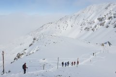 328674885_748867606323960_1996820459490603972_n