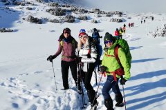 328676221_1652660575152200_4135039556755392745_n