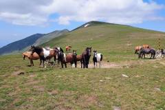 Rila (Otovica 2969mnv, Sejmenski kamik 2666mnv, Golem Polič 2615mnv, mali Kalin 2664mnv, Kalin 2669mnv, Vazov 2677mnv i Jezerski vrh 2559mnv)