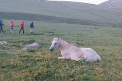 513847878_1344882567362006_4491711541558773581_n