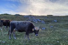 1_311280138_613366820513588_5745504209546877159_n