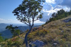 306569059_580490117134592_8209590168050094628_n