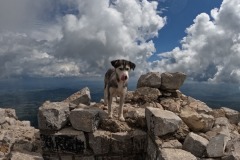 306841835_580489830467954_7024048332867874246_n