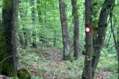 490973214_1312874947229435_532331300611392821_n