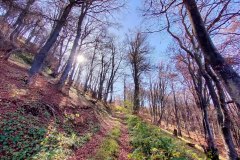 314370823_631760518674218_5038665145809693848_n