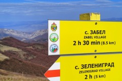 314875885_631760208674249_6538653050787371663_n