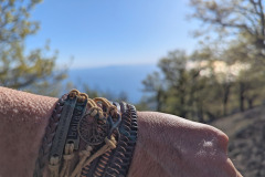 495428034_1303575894826007_6339130753448800904_n