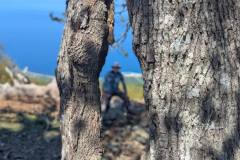 496094498_1303575324826064_8488854690021350774_n