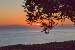 496253261_1303575981492665_542139314710376322_n