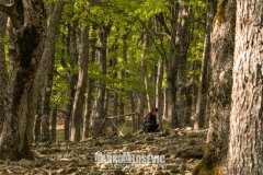 281578951_10158498089116441_4083534546523625595_n